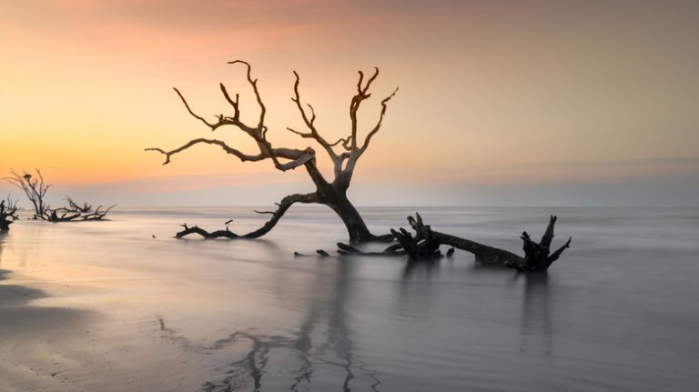 Tucked Away on South Carolina's Coast: A Secluded Nature Town with Pristine Beaches and Tranquil Marshes
