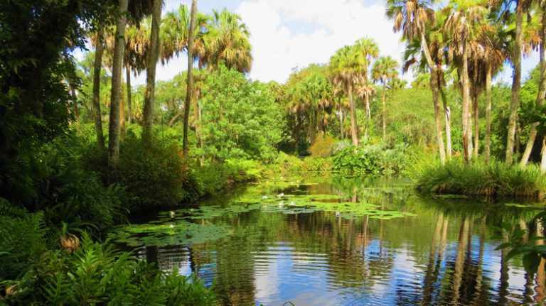 Discover One of Florida's Hidden Gems: A Lakeside Town with Stunning Landscapes and Secret Trails