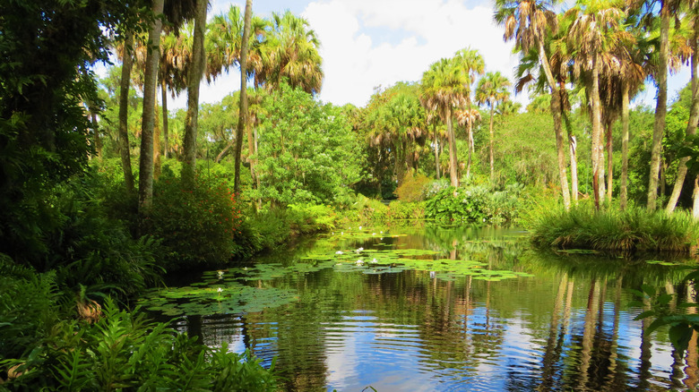 Discover One of Florida's Hidden Gems: A Lakeside Town with Stunning Landscapes and Secret Trails