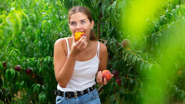 Discover the Enchantment of South Carolina's Hidden Gem: A Town of Peach Orchards, Artisan Goods, and Storybook Charm