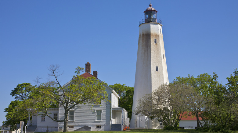 New Jersey's Sandy Shoreline: Tranquil Coastal Camping and Home to America's Oldest Lighthouse