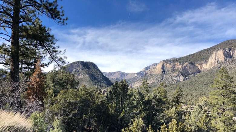 Discover Nevada's Hidden Picnic Spot: A Refreshing Mountain Escape Near Las Vegas
