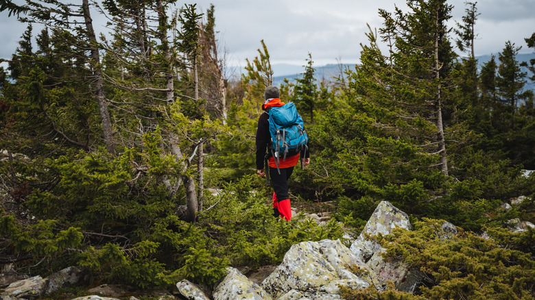 What It Means When Climbers and Outdoor Enthusiasts Refer to Someone as a 'Dirtbag'
