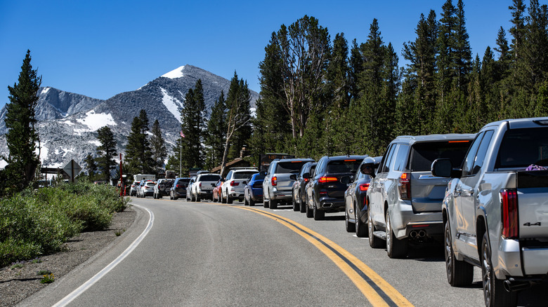 A Recent Ban Across Multiple National Parks Sparks Major Controversy Among Visitors