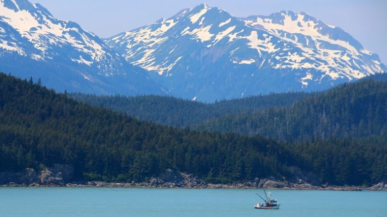 Alaska's 'Emerald Isle': A Haven of Stunning Wildlife and Breathtaking Natural Scenery
