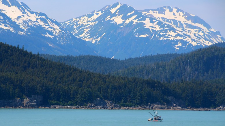 Alaska's 'Emerald Isle': A Haven of Stunning Wildlife and Breathtaking Natural Scenery