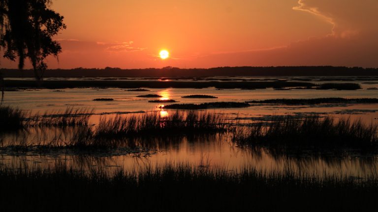 South Carolina's Tranquil Island Near Charleston: A Haven of Marshes and Charm Without Chain Restaurants or Resorts