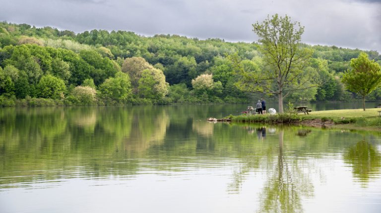 Nestled Between Pittsburgh and Erie: A Lakeside Borough with Antique Shops and Nearby Parks