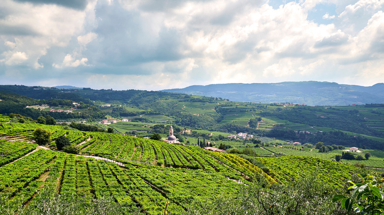 Award-Winning Winery Near Verona, Italy, Offers Unique Experience: Blend Your Own Bottle