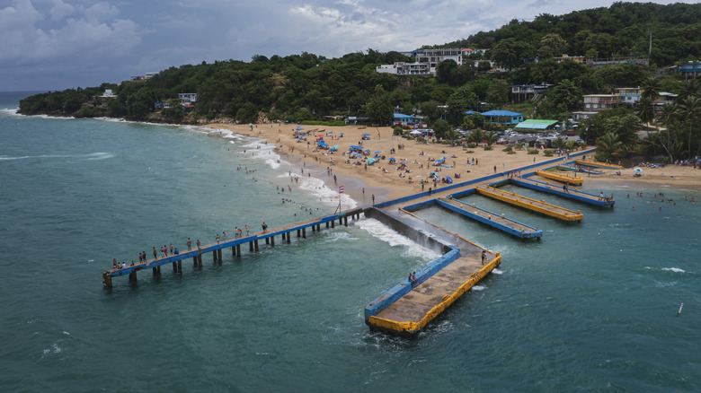 Puerto Rico's Tropical Beach: A Postcard-Perfect Scene with Rainbow Fish and a Sunken Pier