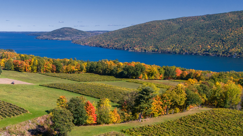 Nestled in New York's Finger Lakes: A Picturesque Town with a Charming Downtown and Scenic Wine Trail