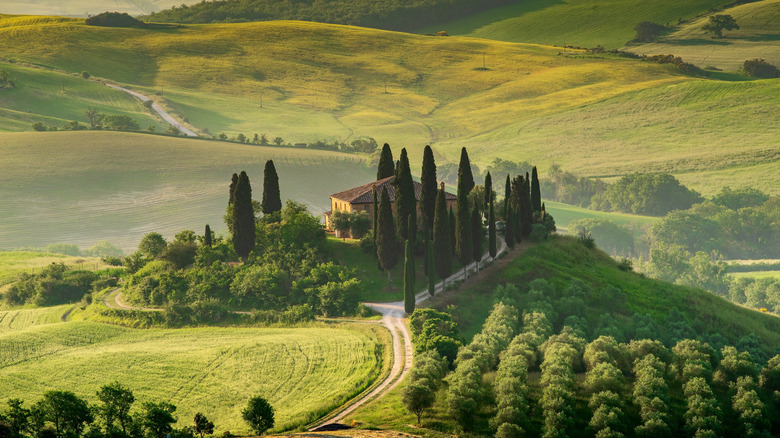 Perched Atop A Hill: Discover This Medieval UNESCO Site Offering Italy's Finest Food, Wine, and Views