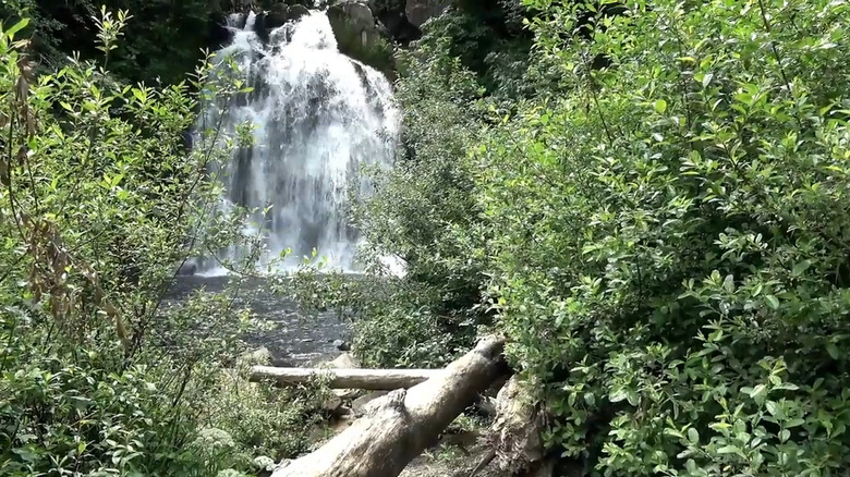 Scenic Waterfall Near Oregon Coast: A Popular Spot for Swimming and Outdoor Fun