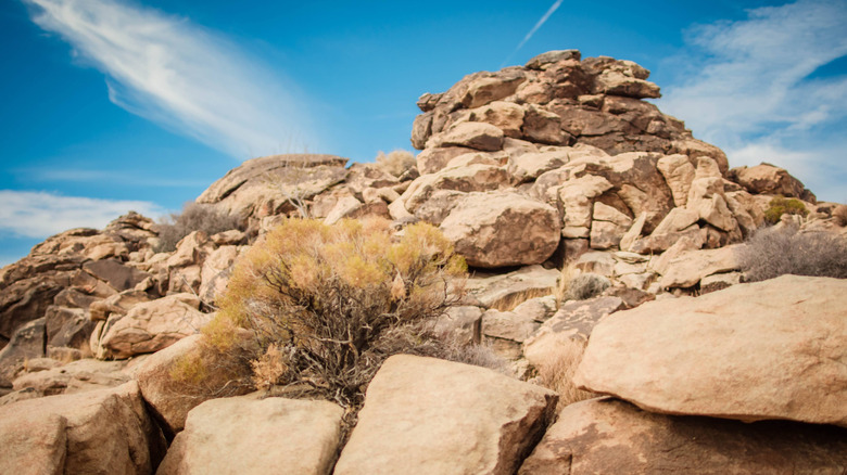 Tucked Away on a Picturesque Joshua Tree Hiking Trail Lies a Mysterious Abandoned Mining Shelter with Stunning Views