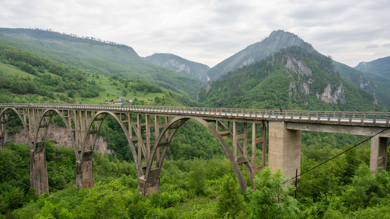 Europe's Hidden Gem: A Scenic Train Journey Through the Dinaric Alps