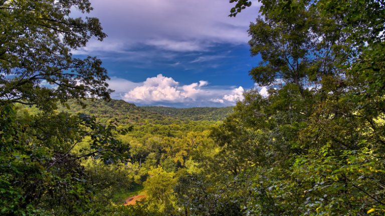 Kentucky's Cave Capital: An Underrated Destination for Thrill-Seeking Family Adventures