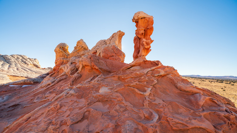 Arizona's Canyon Monument: A Vibrant Wonderland of Towering Cliffs and Swirling Stone Waves