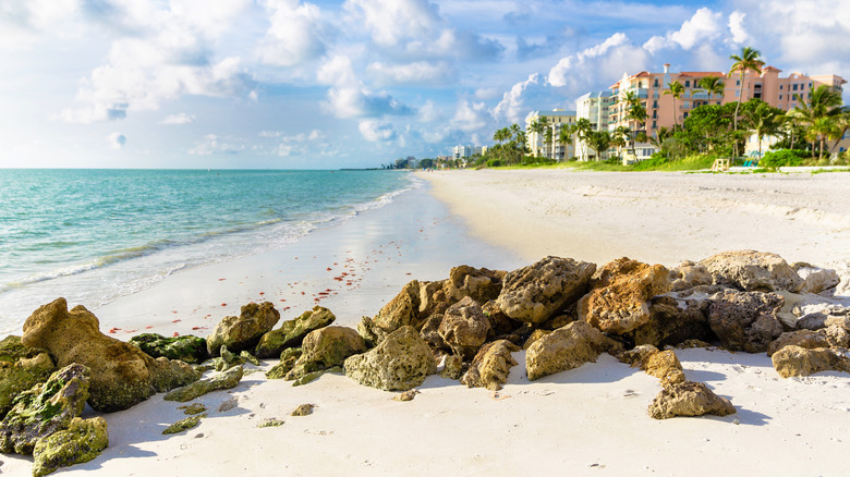 Essential Information on Florida's New Law for Tourists Planning a Beach Getaway